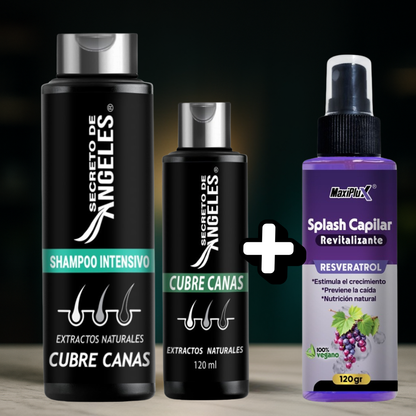 Sh Secreto Angeles ➕ Colageno ➕ Splash Capital Revitalizante🎁- Cubre las canas desde la PRIMERA aplicación ✨DSTO 30%