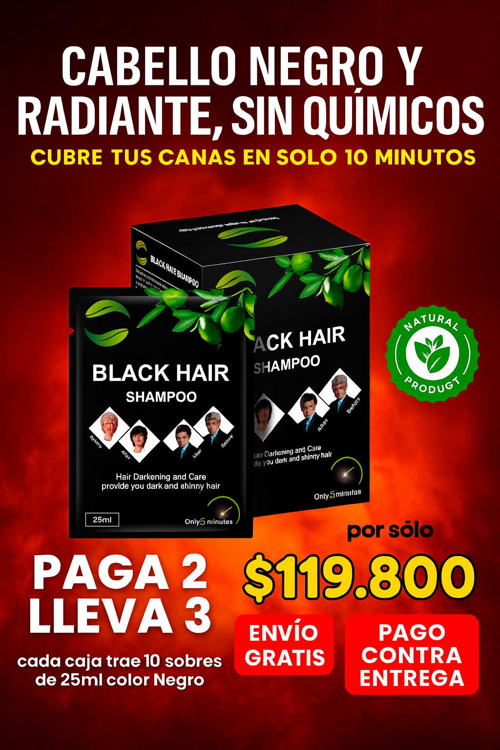 Shampoo Instantáneo Negro Black Hair Caja x 10 sobres