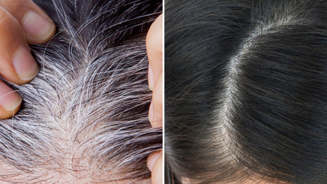 Shampoo Cubre Canas ➕ Colageno y Exfoliante GRATIS🎁- Cubre las canas desde la PRIMERA aplicación ✨DSTO 30%