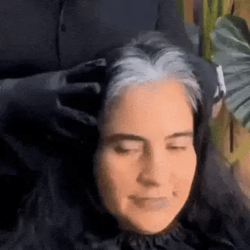 Shampoo Negro Cubre Canas